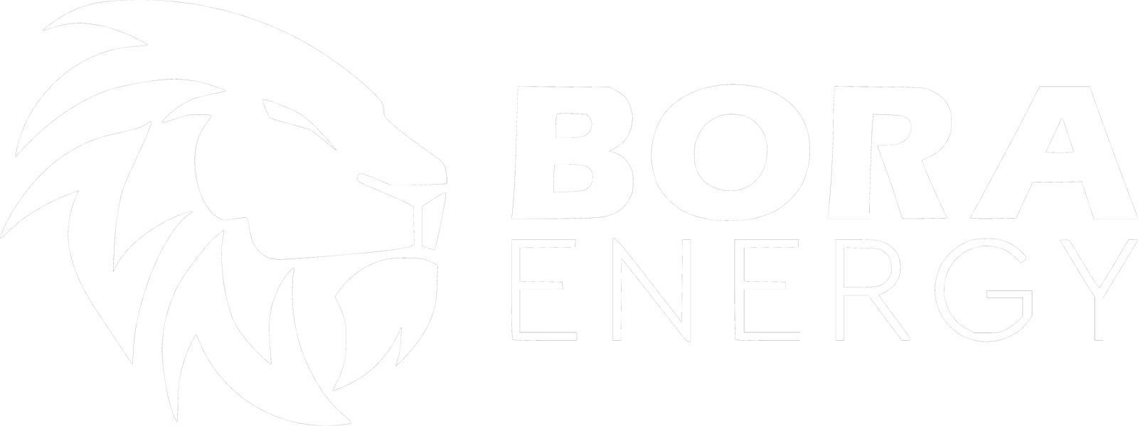 BORA ENERGY